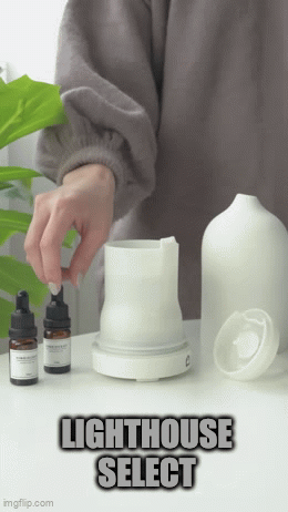 Where Fine Art Meets Fragrance: The Timeless Ceramic Diffuser.
